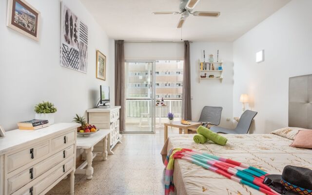530 Big Studio with Terrace