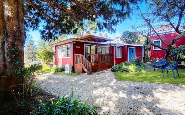 Tullys Hut - Walk to Hikes, Waterfalls, Views