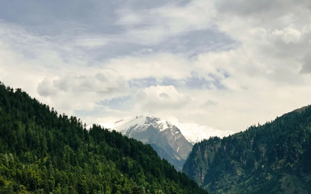 Bookmark Resorts, Manali