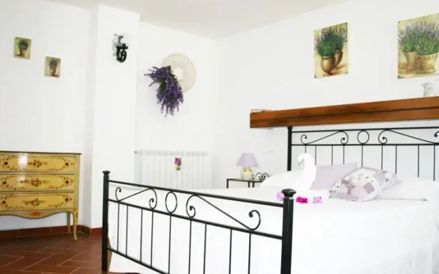 B&B Gaia