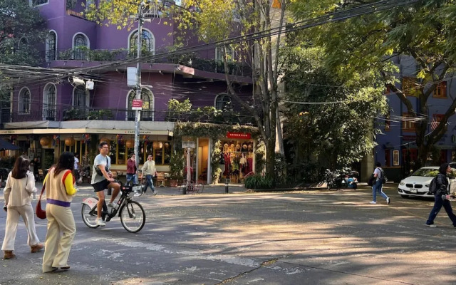 Condesa Residence Campeche 276
