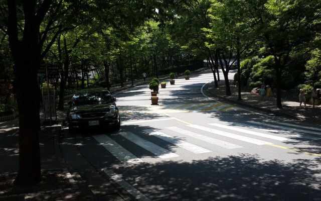 Spacious Apartment in Central Seoul