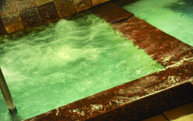 Yamaga Onsen Fuji Hotel
