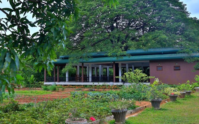 Governor's Gangula
