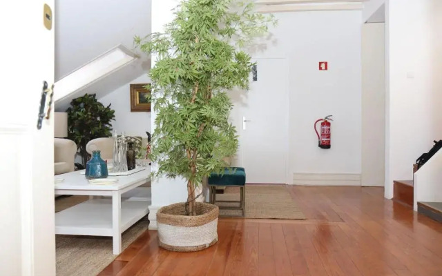 Botanic Views Guest House