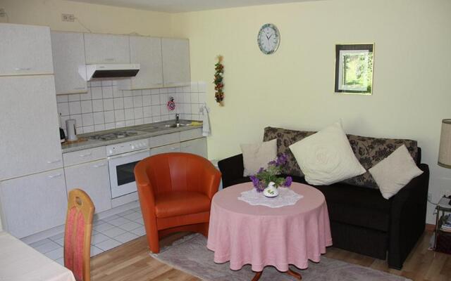 Apartment Baden Baden Haus am Ibachweg