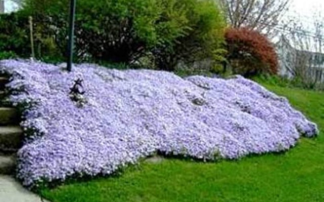 The Artist's Inn and Gallery