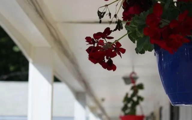 The Coachman Motor Inn