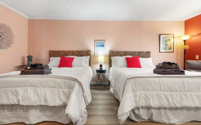 Sequoia Park CA Coast Wineries Skiing-All Day Trips from Comfy Apt