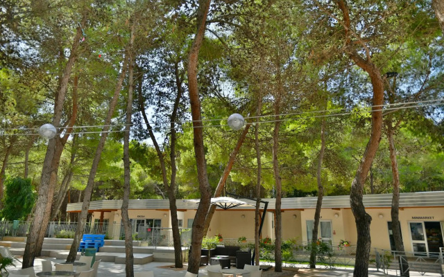 Sira Resort