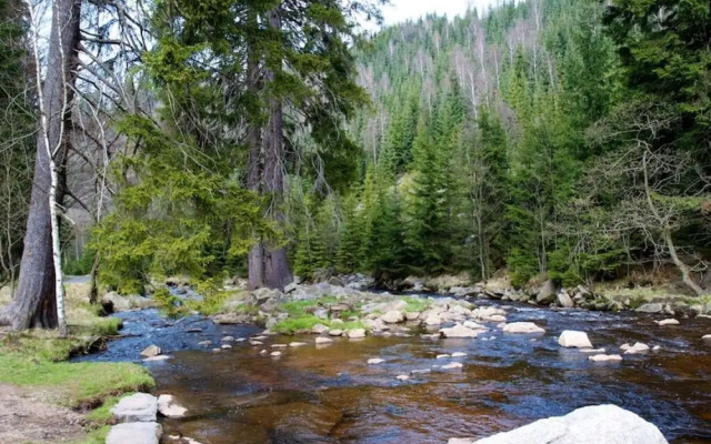 Holiday Apartment Pure Nature