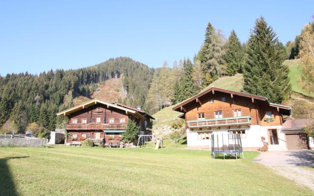 Apartment in Wagrain Near the ski Area