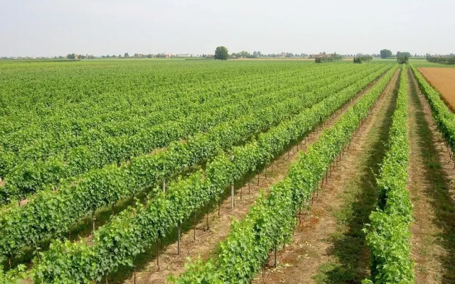 Agriturismo Ravaglia Grande