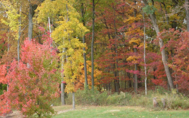 Sonesta Simply Suites Parsippany Morris Plains