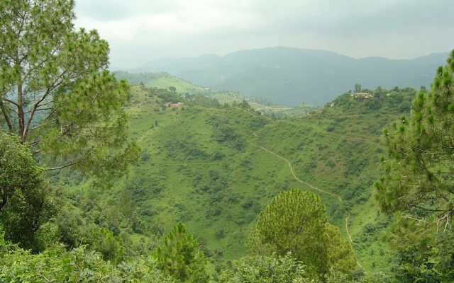 Park Woods Shoghi