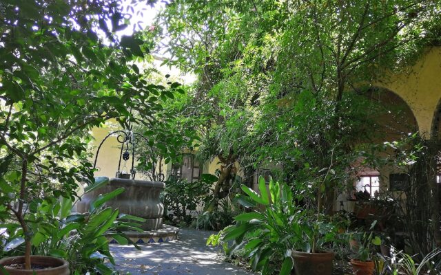 Hotel Posada Cotepec