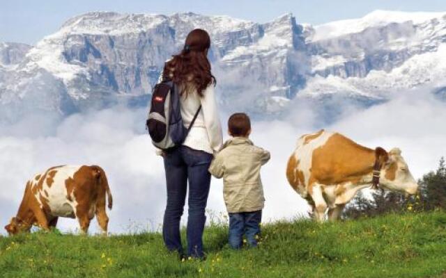 Wohlfühlappartement Bachhäusl