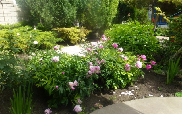 Liki Solntsa Guest House