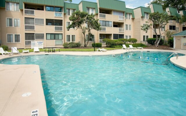 David's Dream Destination 2 Bedroom Condo