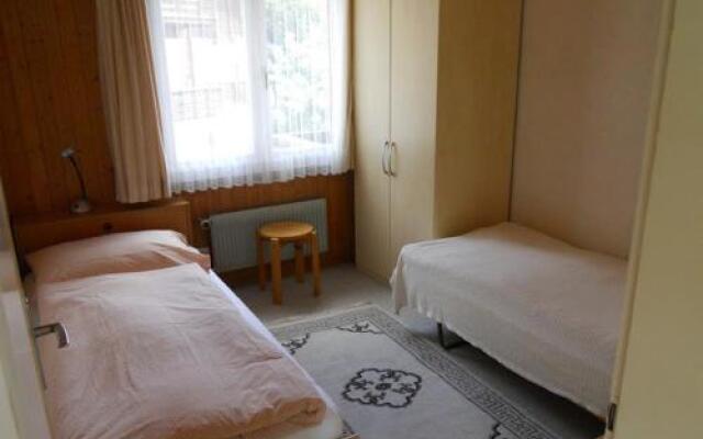 Chalet Anemone 2