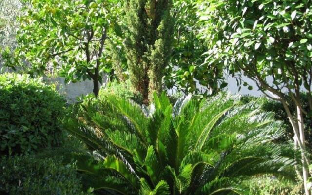 Apartments Davorka - 50m to the sea