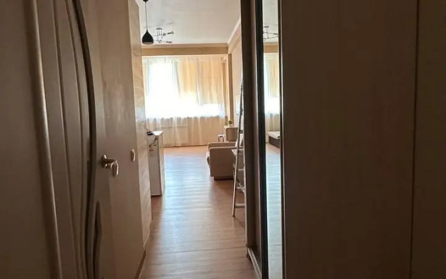 Апартаменты на улице Плеханова 53/16