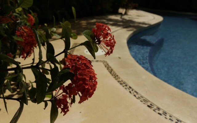 MARAVILLOSO DEPARTAMENTO en Aldea Zama