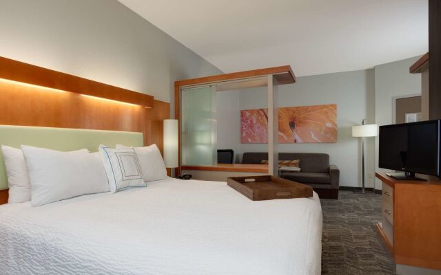 SpringHill Suites Shreveport-Bossier City/Louisiana Downs