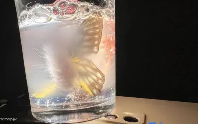 Xishan Haraju Vanilla Forest Wentang Meisu (Moganshan Resort)