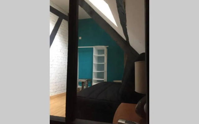 T3 duplex industriel hyper centre ville historique