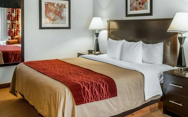 Comfort Inn Farmington