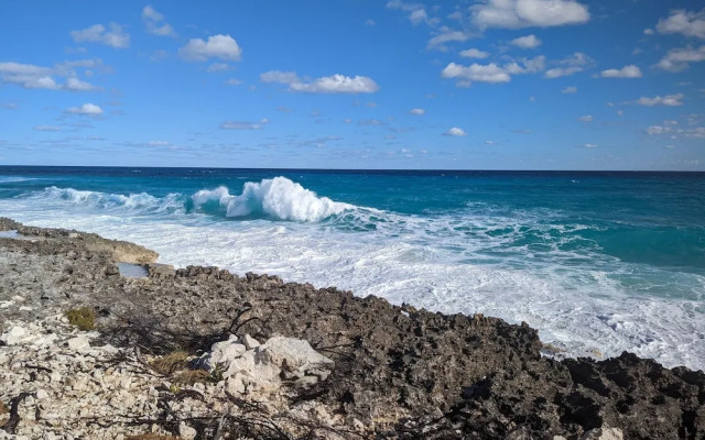 Sephora House 4 Bedroom Home