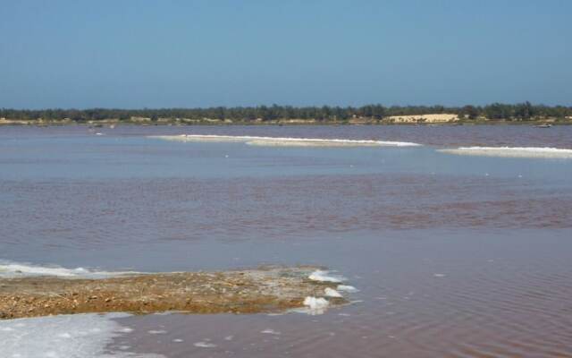 Le Calao du Lac Rose