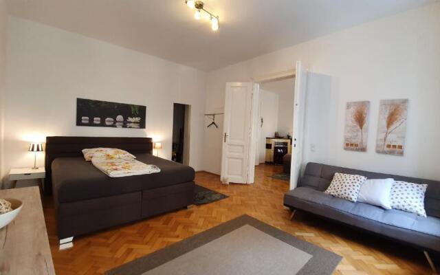 Gorgeous Viennese Apartment 10 min to City Center