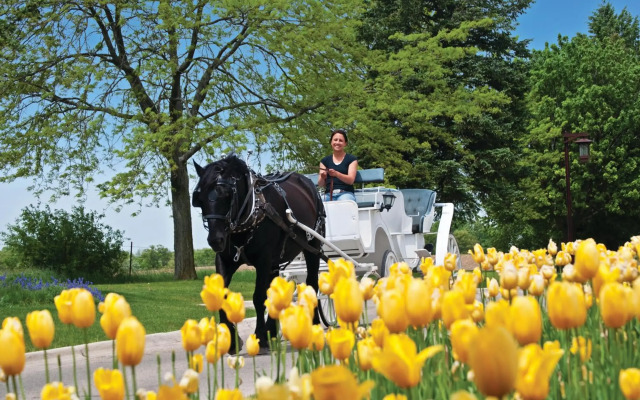Holiday Inn Club Vacations at Lake Geneva Resort by IHG