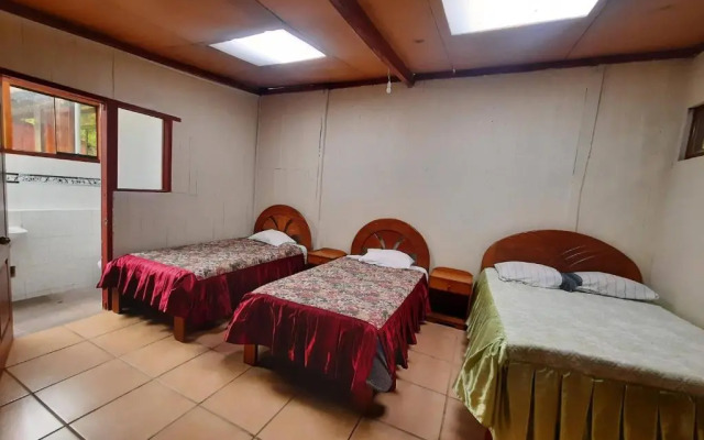Gea Lodge