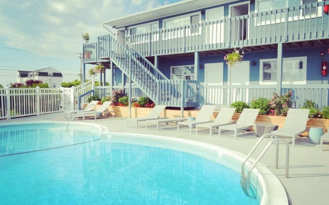 Haven Montauk