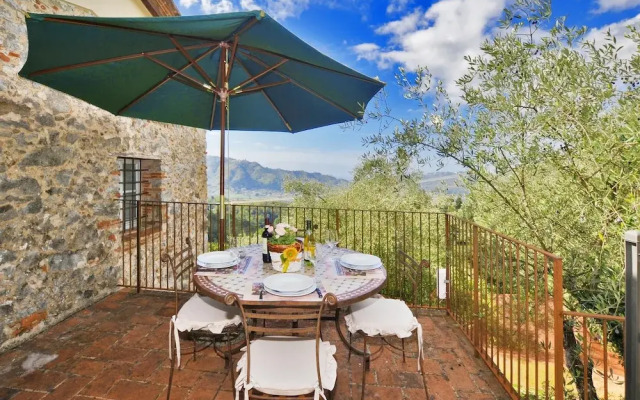 Tiglio Grillo in Camaiore