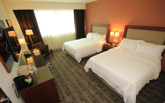 Holiday Inn Leon Plaza Mayor by IHG