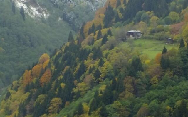 Zilkale Hotel & Koy Evi