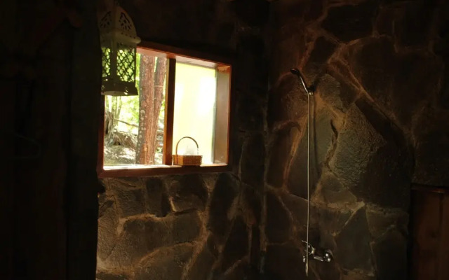 Casa Alto Palguin Pucón