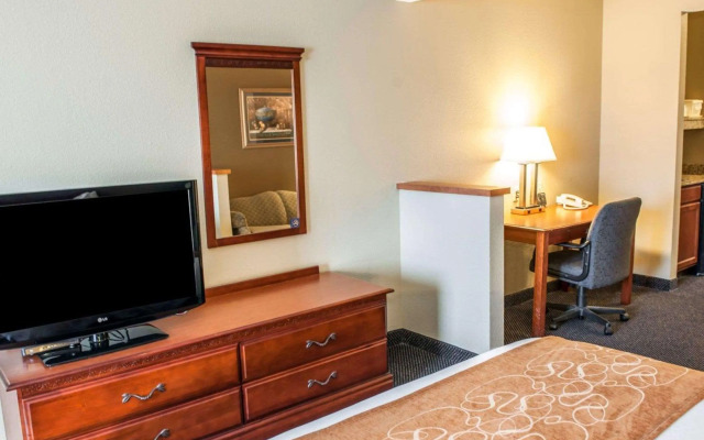 Comfort Suites Auburn near I-69