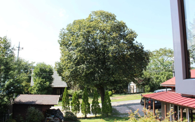 Pension Field