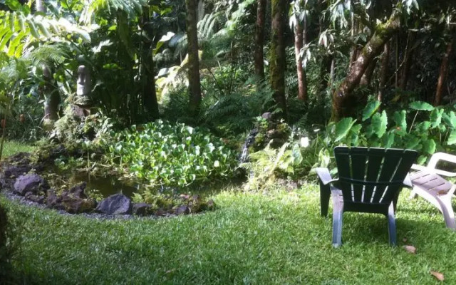 The Jungle Farmhouse