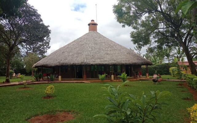Kilimo Talii