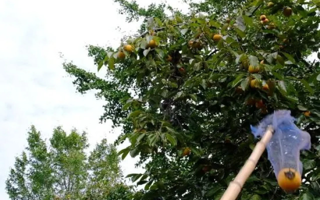 JiuJuYi