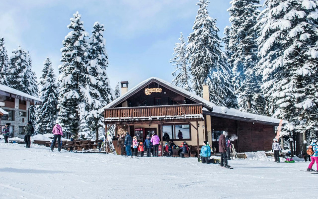 Borovets Gardens Luxury apartment E11