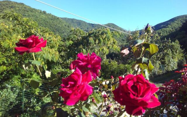 Agriturismo Cà Sonino