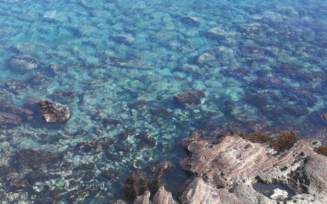 Cap Confort
