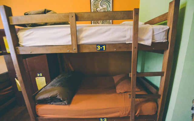 Bunkie Hostel